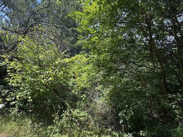 Парцел - София, с.Герман - 0