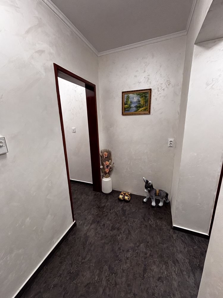 Просторен обзаведен двустаен апартамент-0 Просторен обзаведен двустаен апартамент - 0